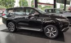 Mitsubishi Pajero Sport 2019 - Xe Mitsubishi Pajero Sport sản xuất năm 2019, dán kính máy dầu