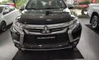 Mitsubishi Pajero Sport 2019 - Xe Mitsubishi Pajero Sport sản xuất năm 2019, dán kính máy dầu