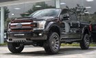 Ford F 150 Harley Davidson 2019 - Bán Ford F150 Raptor, F150 Harley Davidson sản xuất 2019, màu trắng, đen, xám, LH 0981235225 - 0941686611