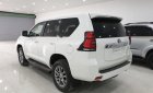 Toyota Land Cruiser Prado VX 2.7L 2019 - Bán Toyota Land Cruiser Prado VX 2.7L đời 2019, màu trắng, nhập khẩu