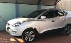 Hyundai Tucson 2014 - Bán Hyundai Tucson năm sản xuất 2014, màu bạc, nhập khẩu 