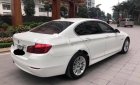 BMW 5 Series 520i 2014 - Bán BMW 520i sản xuất 2014, màu trắng, nhập khẩu  