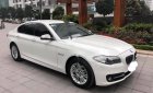 BMW 5 Series 520i 2014 - Bán BMW 520i sản xuất 2014, màu trắng, nhập khẩu  