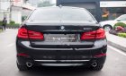 BMW 5 Series 530i Luxury Line 2019 - Bán BMW 530i Luxury Line 2019, màu đen, nhập khẩu