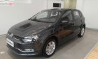 Volkswagen Polo 2016 - Bán Volkswagen Polo đời 2016, màu xám, xe Đức, đi rất tốt