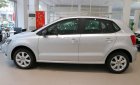 Volkswagen Polo 2018 - Cần bán Volkswagen Polo đời 2018, màu bạc, nhập khẩu 100%, xe Đức, đi rất tốt