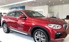 BMW X4 2018 - Xe BMW x4 xDrive20i - Nhập khẩu Đức mới 100%