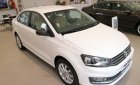 Volkswagen Polo 2017 - Bán Volkswagen Polo đời 2017, màu trắng, nhập khẩu  