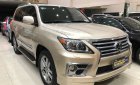 Lexus LX LX570 2009 - Bán Lexus LX570 màu vàng cát đời 2009