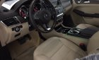 Mercedes-Benz GLS GLS400 2019 - Bán Mercedes-Benz GLS 400 4Matic 2019, xe giao ngay