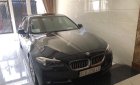 BMW 5 Series 2016 - Cần bán xe BMW 5 Series đời 2016, màu đen, nhập khẩu