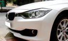 BMW 3 Series 320i 2012 - Bán xe BMW 3 Series 320i năm 2012, màu trắng, nhập khẩu biển TP. HCM