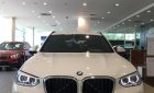 BMW X3 xDrive20i 2019 - Bán xe BMW X3 xDrive20i đời 2019, màu trắng, nhập khẩu