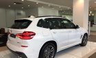 BMW X3 xDrive20i 2019 - Bán xe BMW X3 xDrive20i đời 2019, màu trắng, nhập khẩu