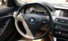 BMW 5 Series 520i 2014 - BMW 520i sản xuất 2014