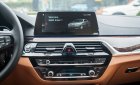 BMW 5 Series 530i  2019 - BMW 530i Luxury Line - Nhập khẩu từ Đức mới 100% - giảm 120 triệu