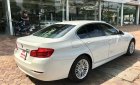 BMW 5 Series 520i 2014 - BMW 520i sản xuất 2014