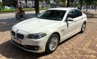 BMW 5 Series 520i 2014 - BMW 520i sản xuất 2014