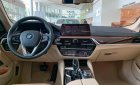 BMW 5 Series 530i Luxury Line 2019 - Bán BMW 530i được nhập khẩu nguyên chiếc từ Đức, có xe giao ngay các màu ngoài thất và nội thất