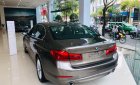 BMW 5 Series 530i  Luxury 2019 - Bán xe BMW 5 Series 530i  Luxury sản xuất năm 2019, xe nhập
