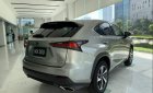 Lexus NX 300 2019 - Bán xe Lexus NX 300 sản xuất 2019, màu vàng, nhập khẩu, sẵn xe giao ngay