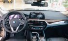 BMW 5 Series 530i  Luxury 2019 - Bán xe BMW 5 Series 530i  Luxury sản xuất năm 2019, xe nhập