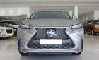 Lexus NX NX200T 2015 - Bán xe Lexus NX NX200t đời 2015, màu xám (ghi), nhập khẩu