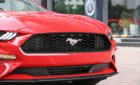 Ford Mustang Convertible 2.3 Ecoboost  2019 - Bán ô tô Ford Mustang Convertible 2.3 Ecoboost đời 2019, màu đỏ, nhập khẩu