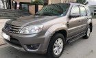 Ford Escape 2.3L XLT 4x4 2009 - Cần bán xe Ford Escape 2.3L XLT 4x4 sản xuất 2009, màu xám