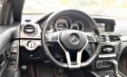 Mercedes-Benz C class 2013 - Bán ô tô Mercedes C300 AMG Plus 2013, 1 chủ từ mới