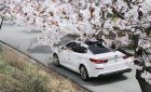 Kia Optima 2019 - Bán ô tô Kia Optima năm 2019, màu trắng, 789 triệu