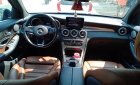 Mercedes-Benz GLC-Class 300 2017 - Bán ô tô Mercedes GLC300 2017, chính chủ
