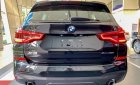 BMW X3   XDrive 30i MSport 2019 - Bán BMW X3 XDrive 30i MSport năm 2019, nhập khẩu