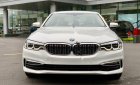 BMW 5 Series 530i Luxury Line 2019 - Bán BMW 530i Luxury Line 2019, màu trắng, nhập khẩu