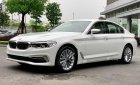 BMW 5 Series 530i Luxury Line 2019 - Bán BMW 530i Luxury Line 2019, màu trắng, nhập khẩu