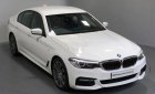 BMW 5 Series  520i  2016 - Bán BMW 520i năm 2016, màu trắng, nhập khẩu