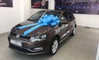 Volkswagen Polo   2017 - Bán Volkswagen Polo đời 2017, màu nâu, nhập khẩu, số tự động