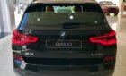 BMW X3 xDrive30i M Sport 2019 - Bán xe BMW X3 xDrive30i M Sport đời 2019, màu đen, nhập khẩu