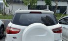 Ford EcoSport  Titanium  2014 - Bán xe Ford EcoSport sản xuất 2014, màu trắng, nhập khẩu  