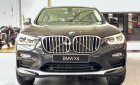 BMW X4   xDrive 20i 2019 - Cần bán xe BMW X4 xDrive 20i năm sản xuất 2019, nhập khẩu nguyên chiếc