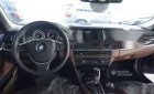 BMW 5 Series   520i 2016 - Cần bán xe BMW 520i năm 2016, màu trắng