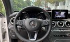 Mercedes-Benz GLC-Class 2017 - Bán Mercedes-Benz GLC 300 sản xuất 2017