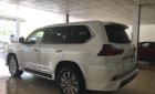 Lexus LX 2019 - Bán Lexus LX570 4 chỗ sản xuất 2019,4 ghế massage, 4 cửa hít, màu trắng, nội thất da bò, xe giao ngay