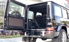 Mercedes-Benz G class 2019 - Bán ô tô Mercedes G63 AMG Normal năm 2019, màu đen, nhập khẩu nguyên chiếc 