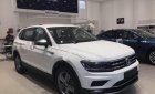 Volkswagen Tiguan Allspace Luxury 2019 - Bán Volkswagen Tiguan Allspace Luxury sản xuất năm 2019, màu trắng, nhập khẩu