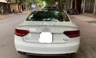 Audi A5 2011 - Cần bán lại xe Audi A5 đời 2011, màu trắng, nhập khẩu nguyên chiếc, 789tr