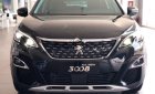 Peugeot 3008   2019 - Cần bán xe Peugeot 3008 2019, màu đen, giá tốt