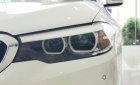 BMW 5 Series 2019 - BMW 5 Series 520i, màu trắng, nhập khẩu Đức, sang trọng, đẳng cấp