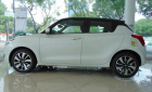 Suzuki Swift GLX 2019 - Bán Suzuki Swift Special 1.2 AT 2019