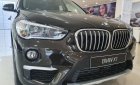 BMW X1 sDrive18i 2019 - Bán BMW X1 sDrive18i đời 2019, màu đen, nhập khẩu nguyên chiếc